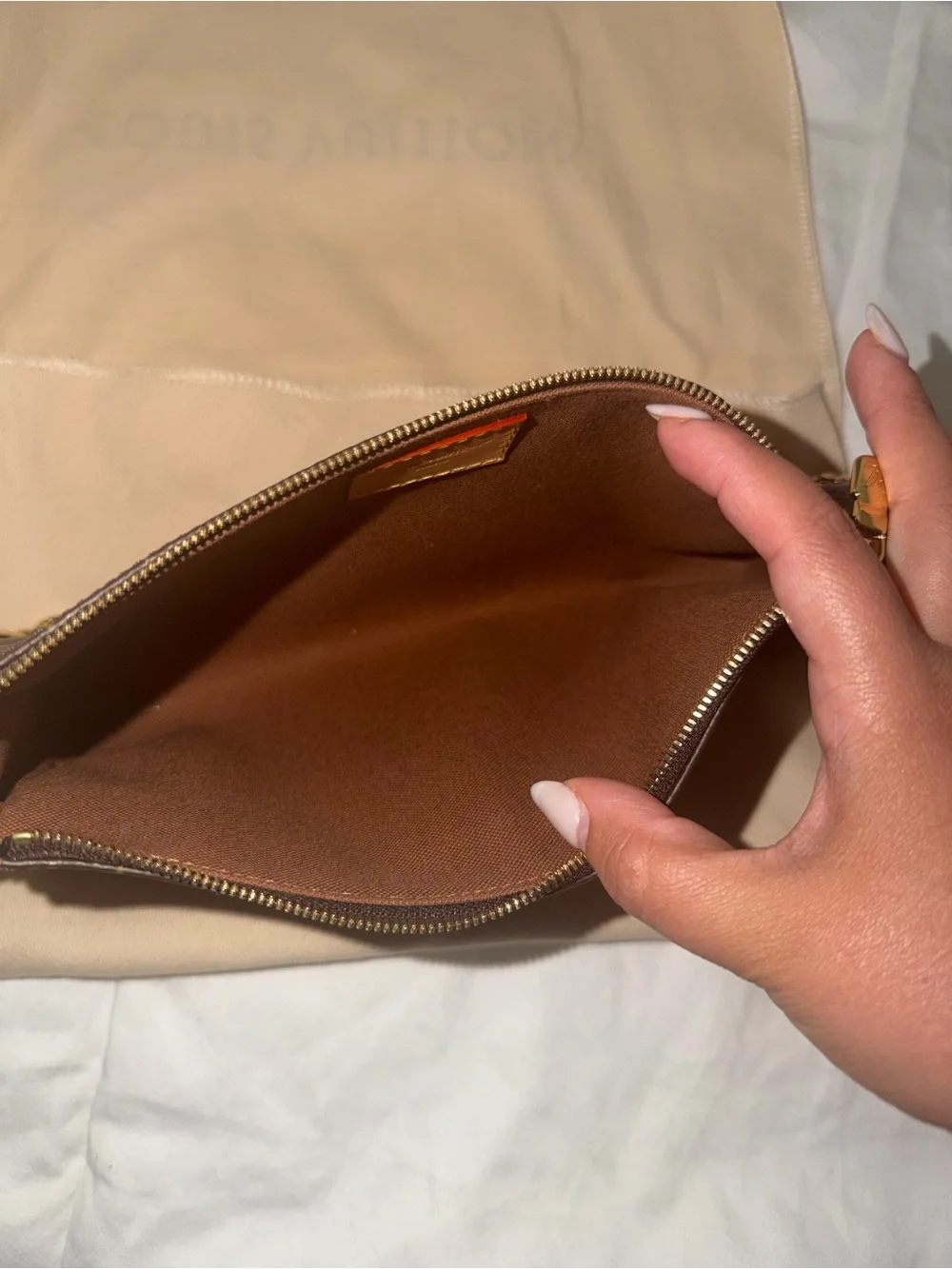 Louis Vuitton Eva Pochette